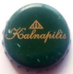 Kalnapilis