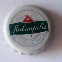 Kalnapilis