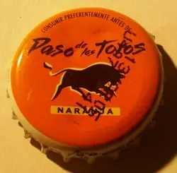 Paso de los Toros