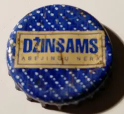 Dzinsams