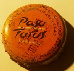 Paso de los Toros