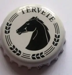Térvete