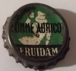 Fruidam