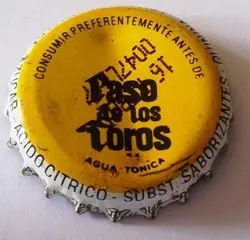 Paso de los Toros