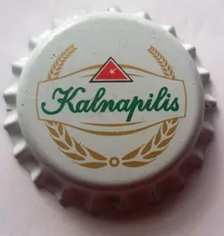 Kalnapilis