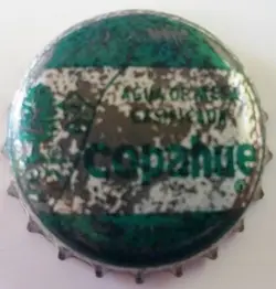 Copahue
