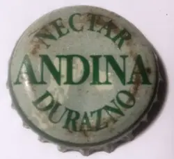 Andina