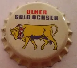 Gold Ochsen