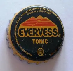 Evervess