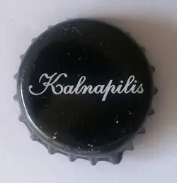 Kalnapilis