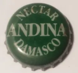 Andina