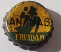 Fruidam